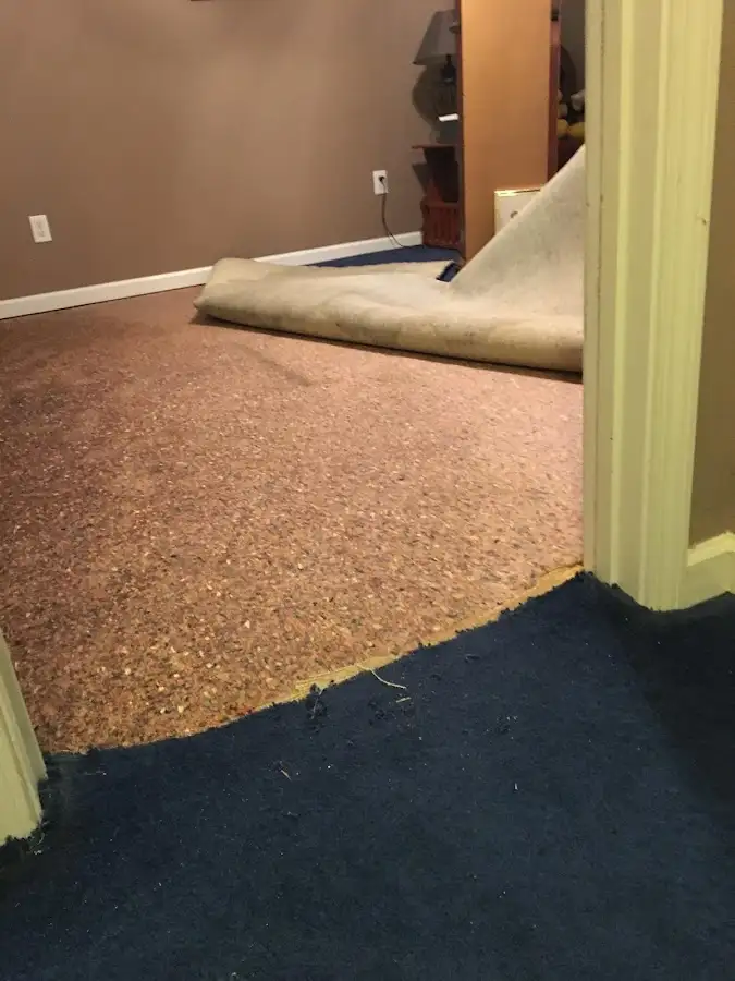 Carpet pad removal revealing water damage during Drying & Dehumidification in Superior