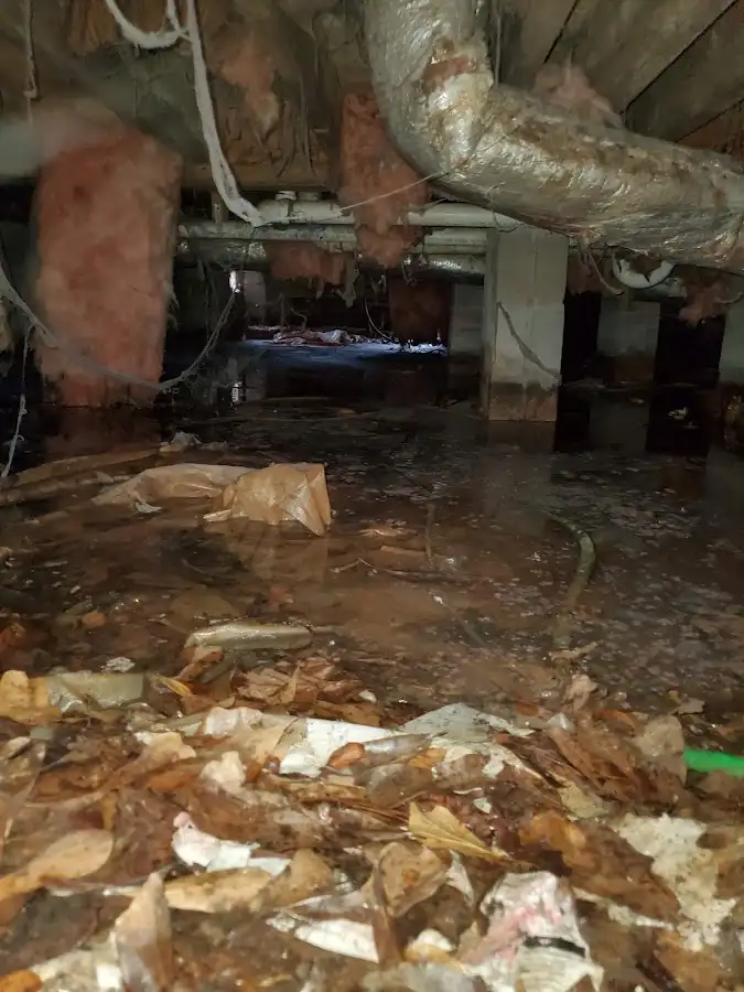 Crawl space flood assessment for Leak Detection & Repair in Superior