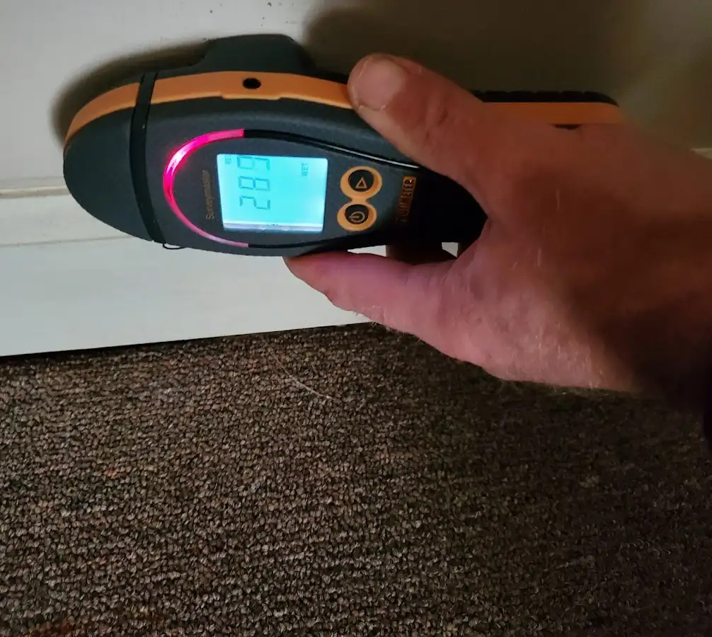 Moisture detection at baseboard during Mold Inspection & Testing in Superior